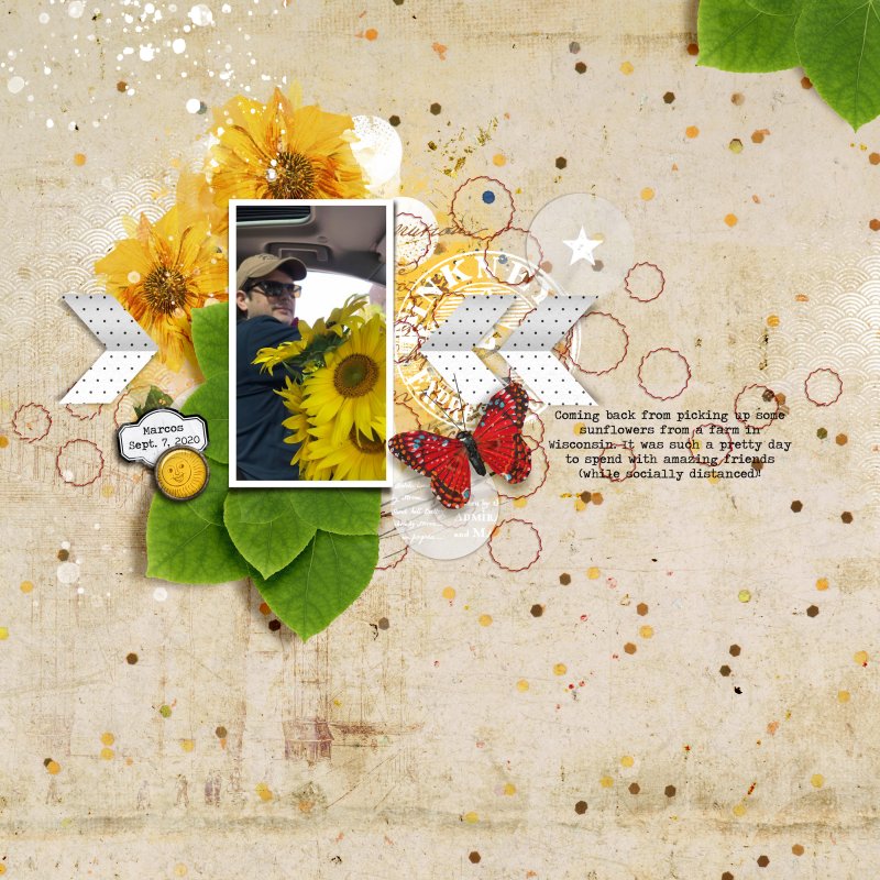 Sunflower Farm - FF 04/15