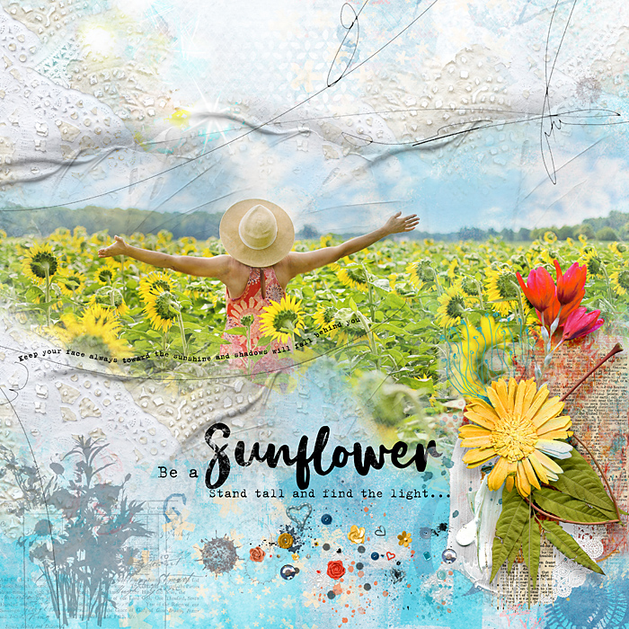Sunflower