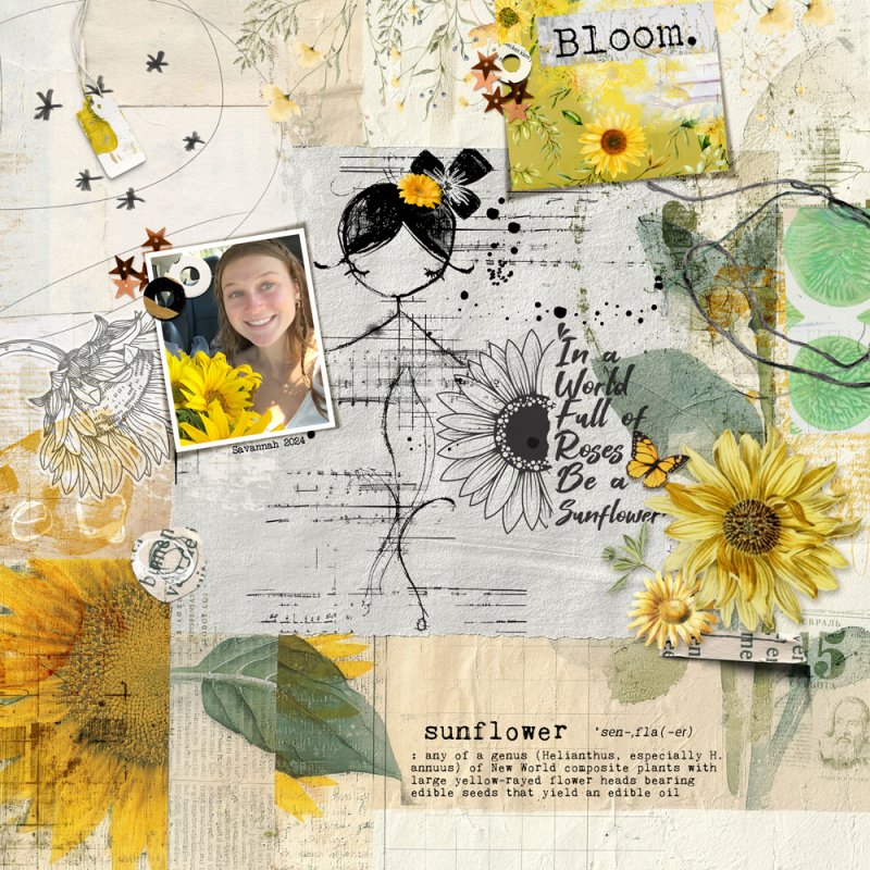 Sunflower