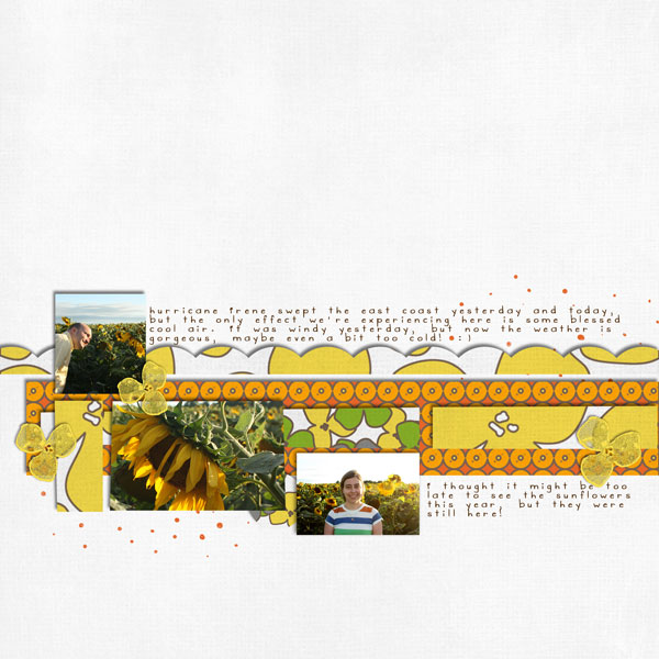 Sunflowers (2)