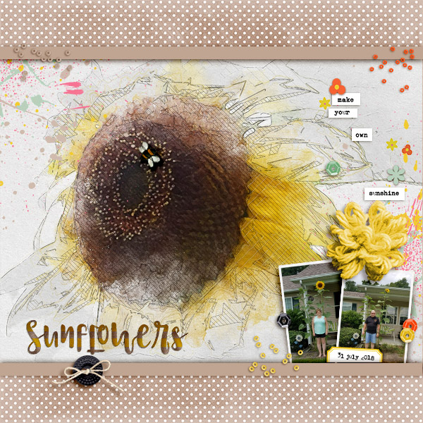 Sunflowers