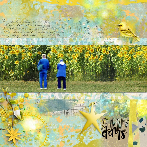 Sunflowers