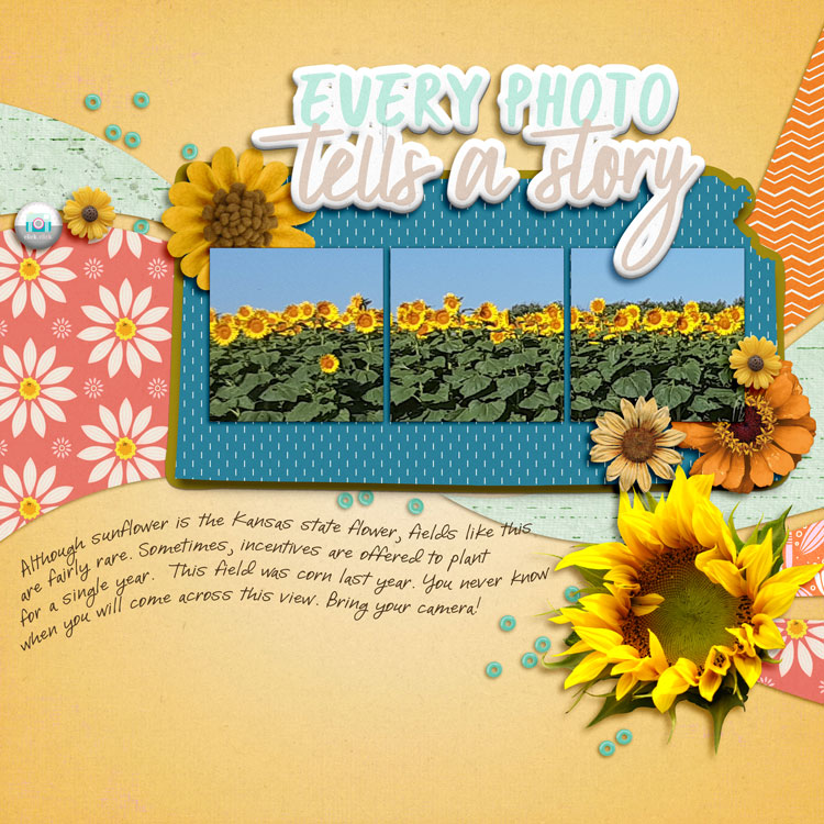 Sunflowers