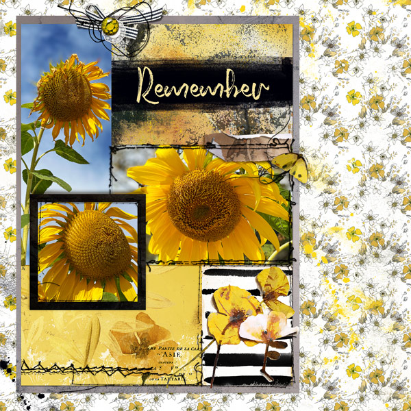 Sunflowers