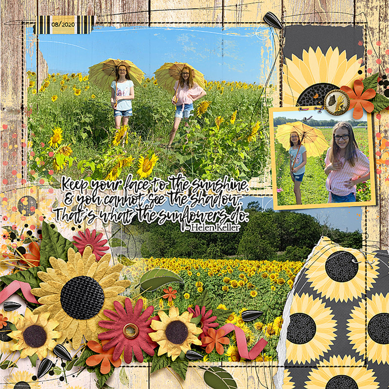 Sunflowers