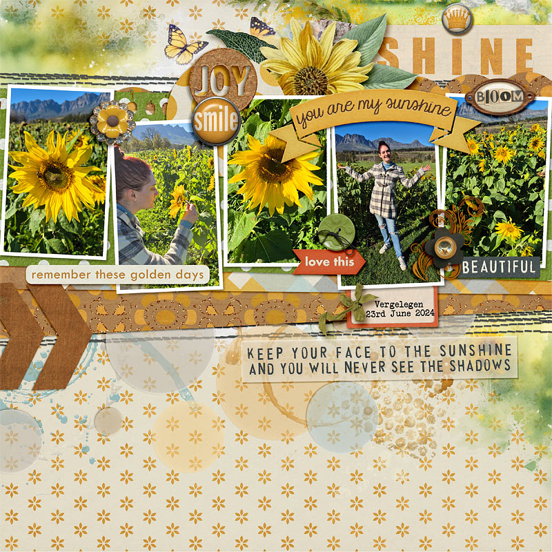 Sunflowers