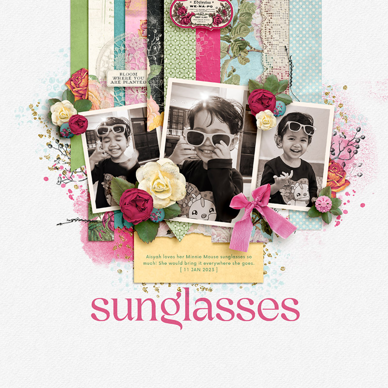 Sunglasses