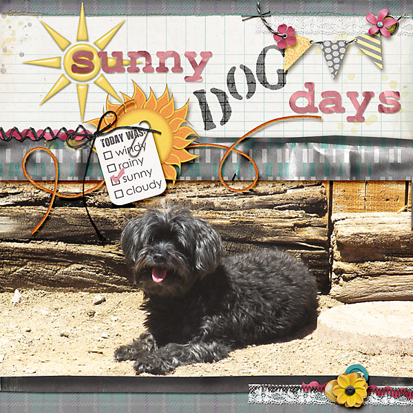 sunny dog days