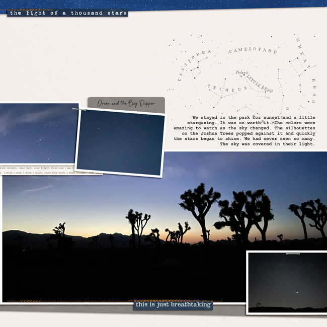 Sunset and Stargazing at Joshua Tree National Park