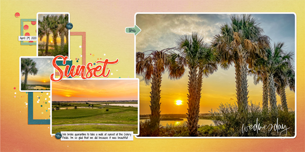Sunset at the Celery Fields