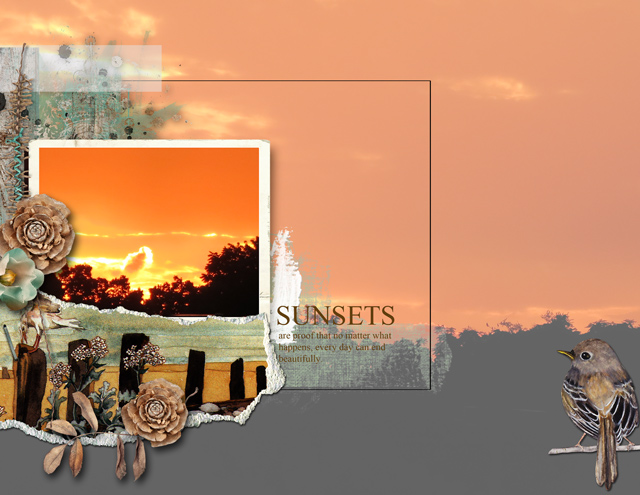 SUNSETS