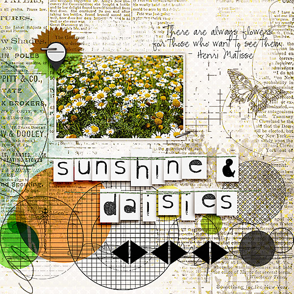 Sunshine & Daisies