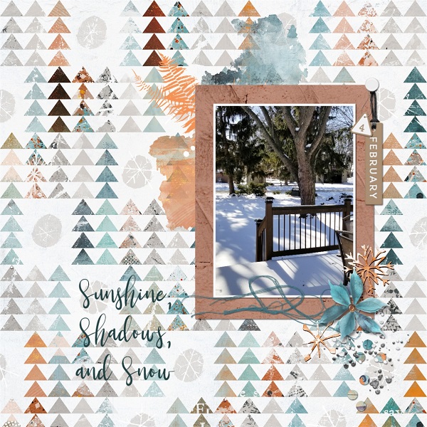 Sunshine Shadows And Snow