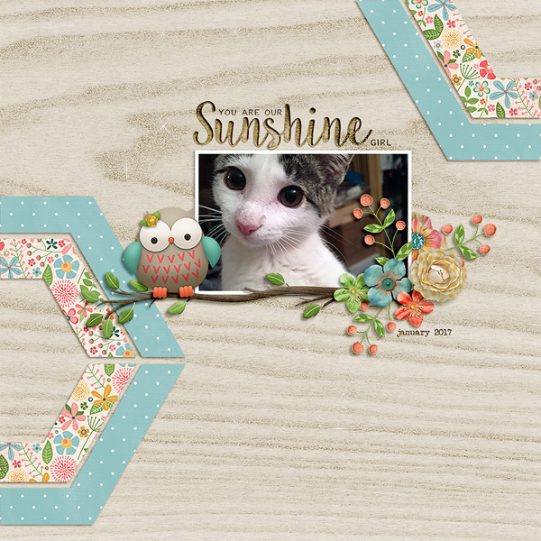 sunshine