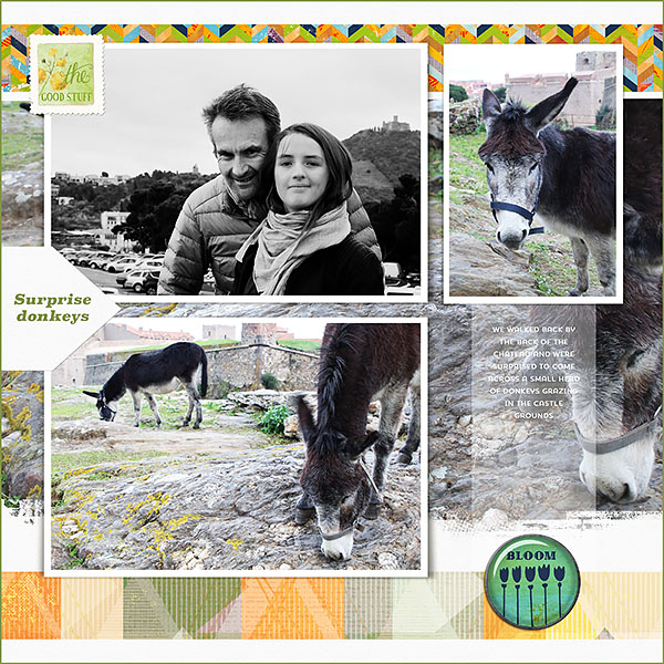 Surprise donkeys