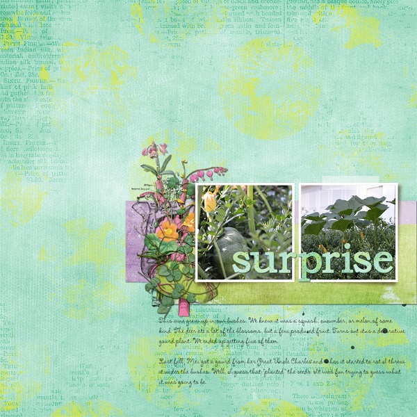 Surprise Gourds