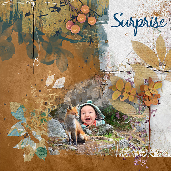 Surprise