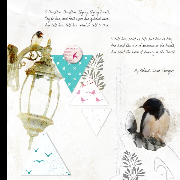 Swallow_11