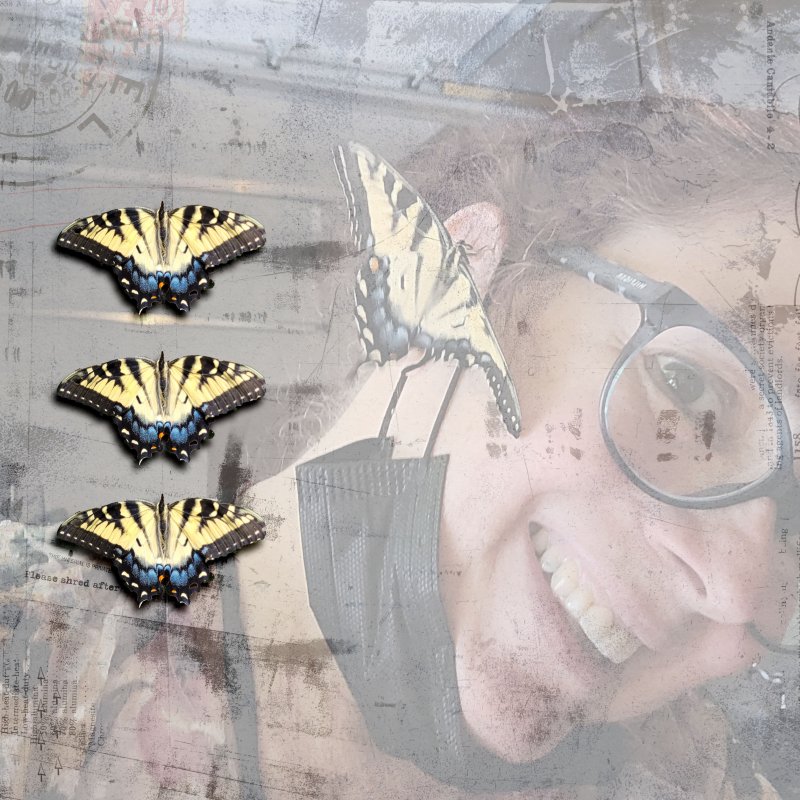 Swallowtail Butterfly On My Face July 2022