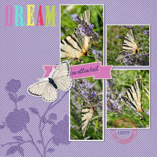 swallowtail