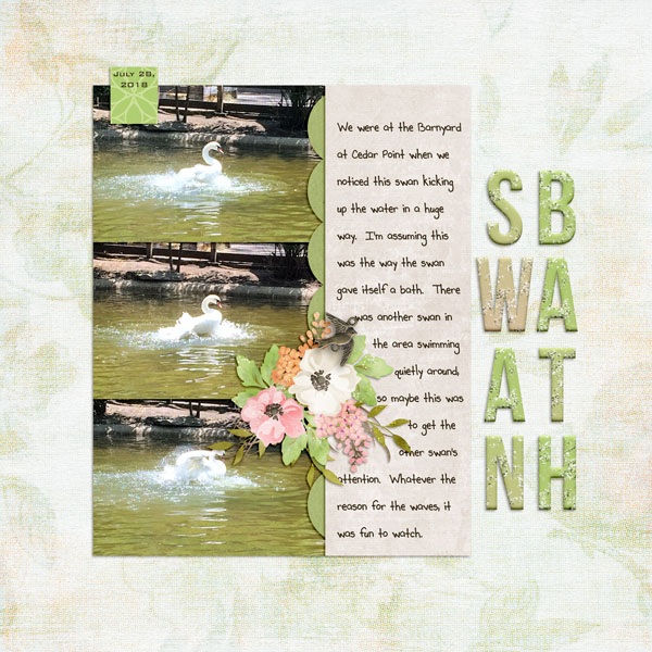 Swan Bath
