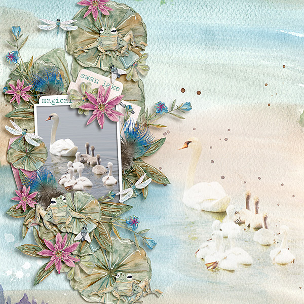 Swan-Lake