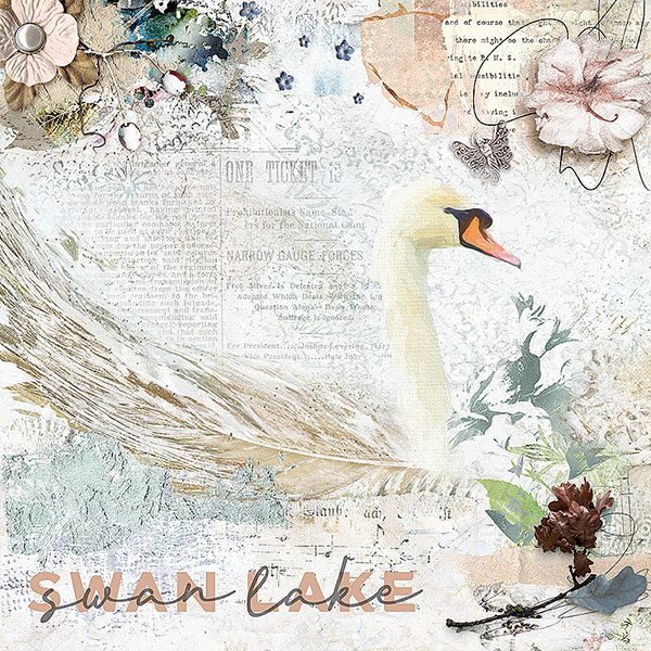 Swan Lake