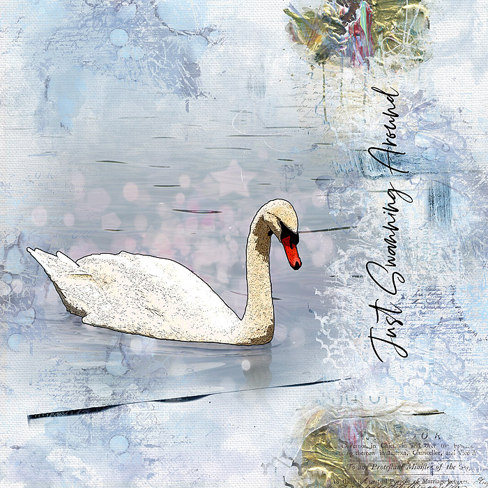 Swanning Around