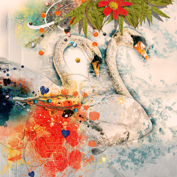 Swans