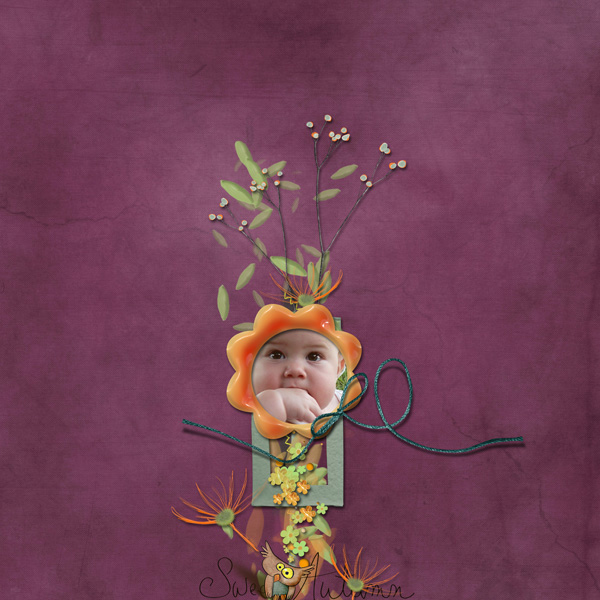 Sweet Autumn