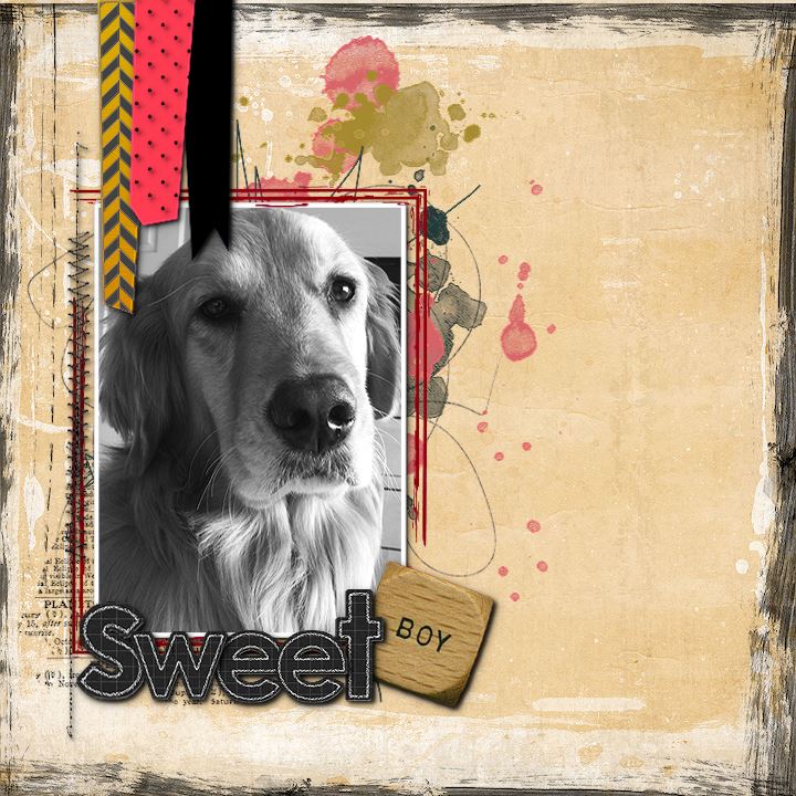 Sweet Boy