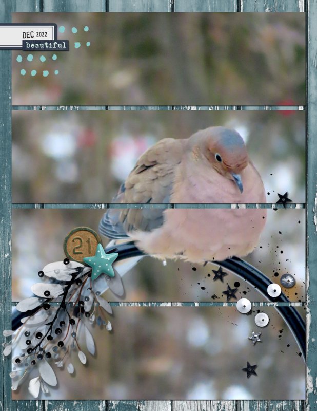 Sweet-December-Stories