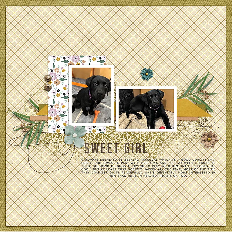 Sweet Girl