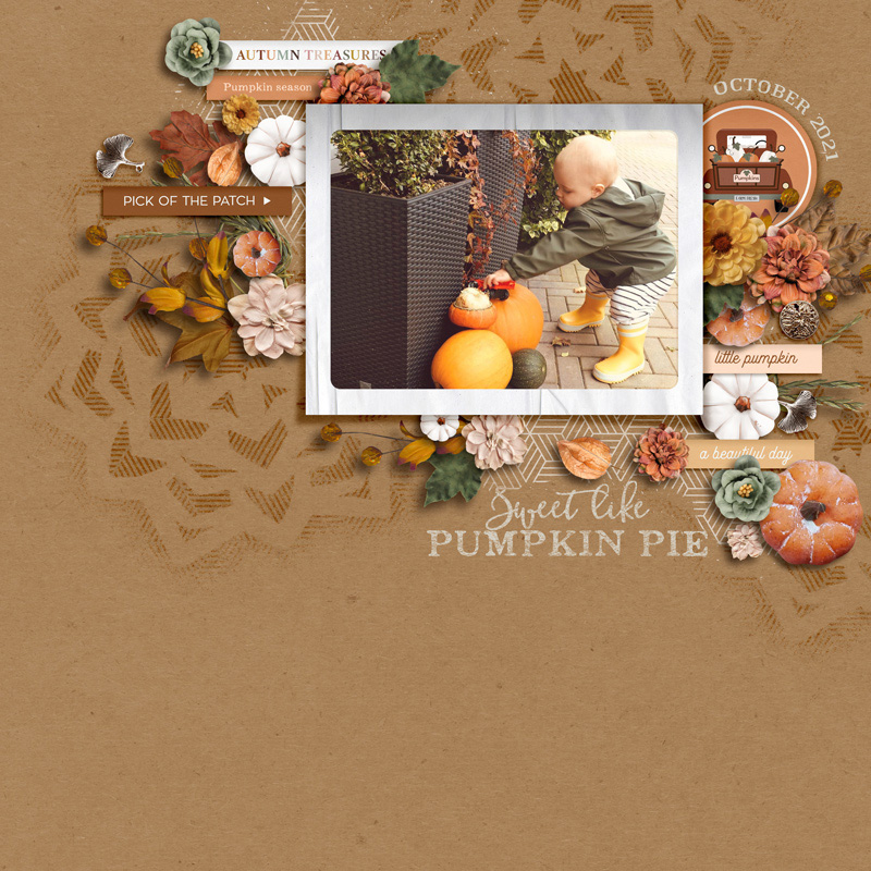 Sweet Like Pumpkin Pie
