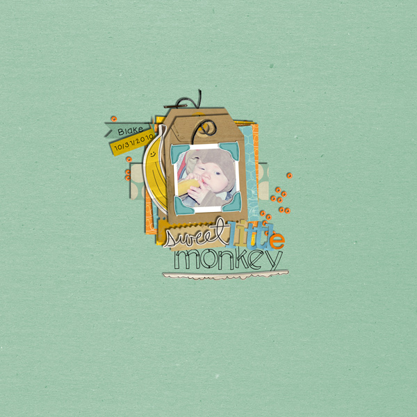 sweet little monkey