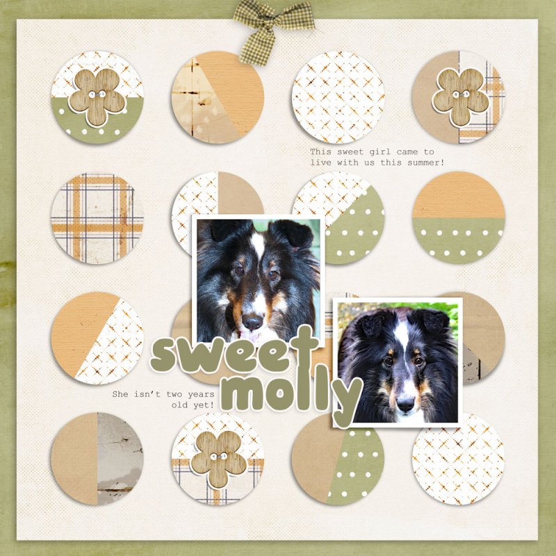 Sweet Molly