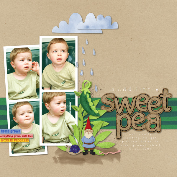 sweet pea