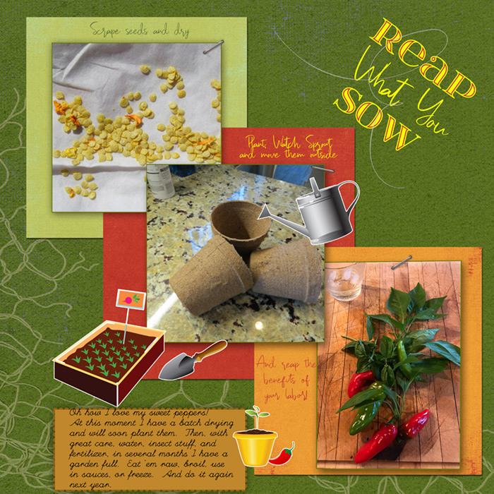 Sweet-peppers
