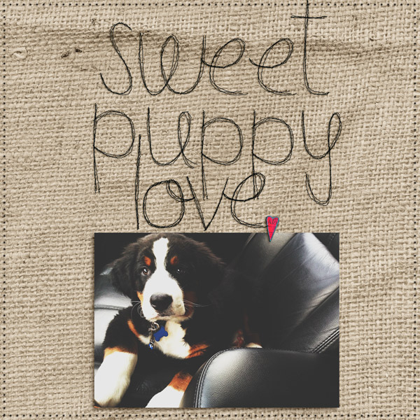 Sweet Puppy Love