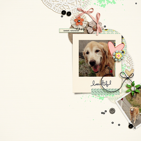 Sweet Retriever