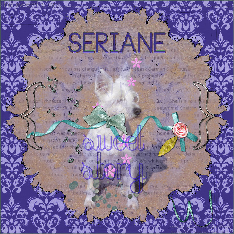 Sweet Seriane Story