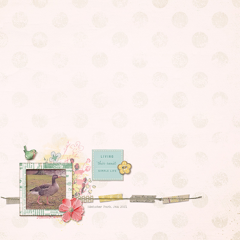 sweet simple life
