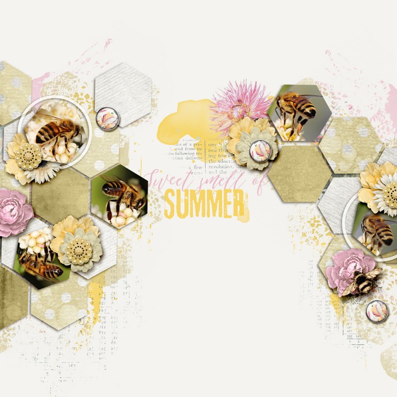 Sweet Smell of Summer