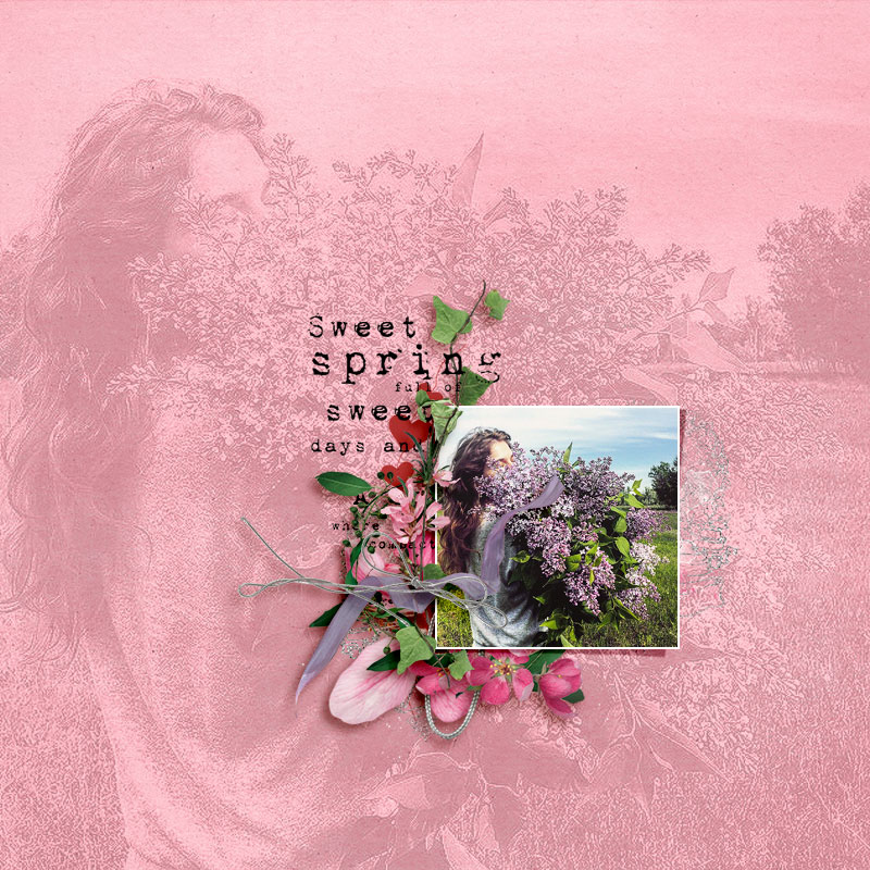 sweet spring
