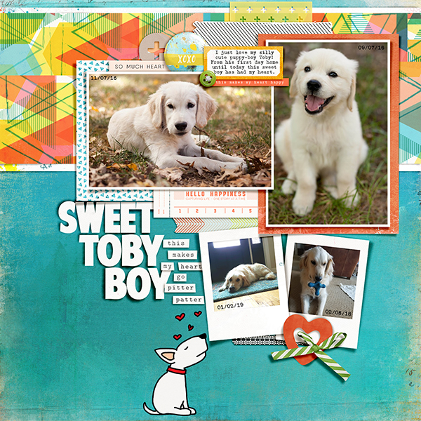 Sweet Toby Boy