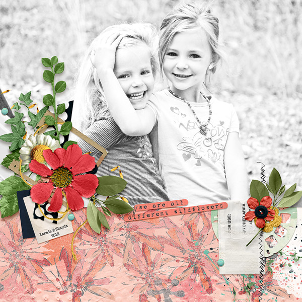 SWEET WILDFLOWERS