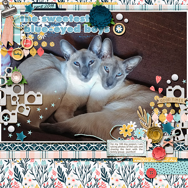 SweetestBoys