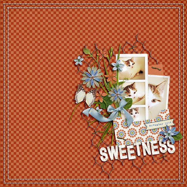 sweetness
