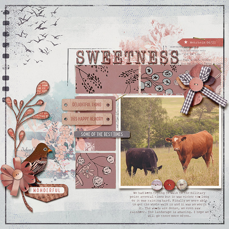 sweetness