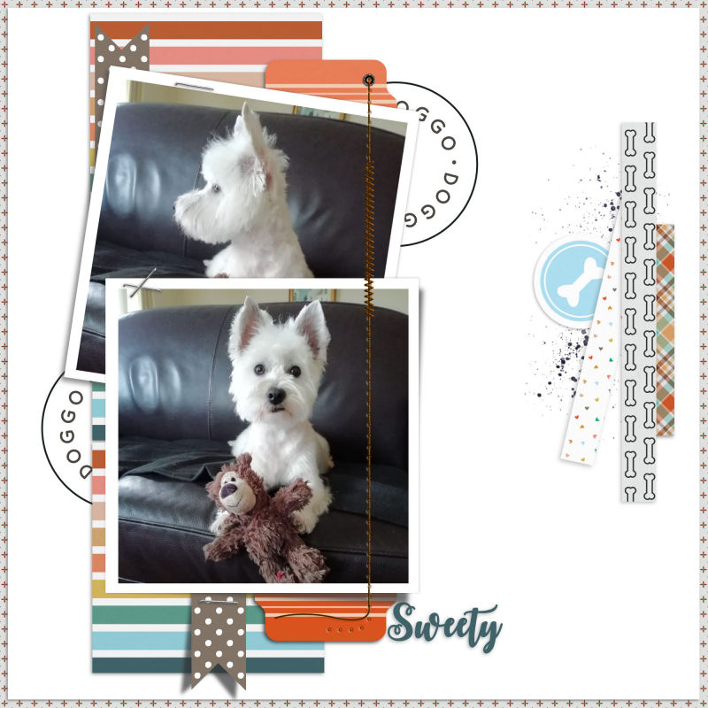Sweety